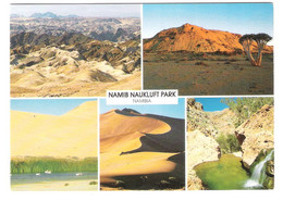 Namibia - Namib Naukluft Park - Nice Giraff Stamp - Namibië