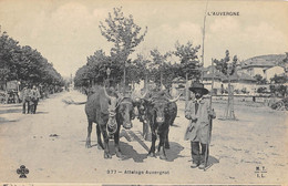 CPA 63 AUVERGNE ATTELAGE AUVERGNAT / AGRICULTURE - Andere & Zonder Classificatie