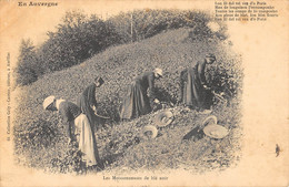 CPA 63 AUVERGNE LES MOISSONNEUSES DE BLE NOIR / AGRICULTURE - Andere & Zonder Classificatie