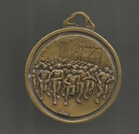 Médaille , Sports , Athlétisme, Course à Pied , Cross, Signée Cebrian, Dia. 50 Mm , 37.0 Gr , 2 Scans, Frais Fr 3.35 E - Leichtathletik