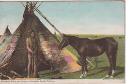 CANADA - Blackfoot Brave And Pony On Canadian Pacific Railway - 1905 Strathcna Alberta Postmark - Undivided Rear - Native Americans