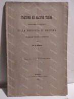 INTORNO AD ALCUNE TORBE SCOPERTE NELLA PROVINCIA DI MANTOVA G. Monselise MANTOVA 1877 - Old Books