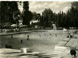 Dax * Vue Sur La Piscine Municipale * Baigneurs - Dax