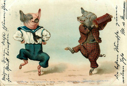 Cochons Humanisés * CPA Illustrateur 1903 * Danse Dancing Accordéon Accordéonniste Musique Musicien * Cochon Pig - Maiali