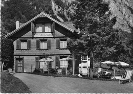 WALLENSTADTERBERG: Kurhaus Alpenhof 1967 - Berg