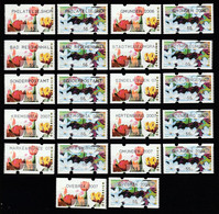 Österreich 2006 2007 Automatenmarken Blumen ATM 6 + 7  ** Postfrisch MNH - Timbres De Distributeurs [ATM]