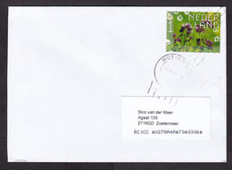 Netherlands: Cover, 2022, 1 Stamp, Wild Flower (traces Of Use) - Briefe U. Dokumente