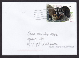 Netherlands: Cover, 2022, 1 Stamp + Tab, Bat, Endangered Animal (traces Of Use) - Covers & Documents