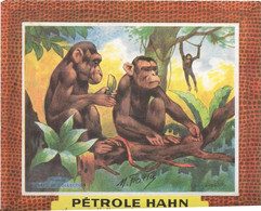 Buvard   Petrole Hahn -   - Singe - Animals