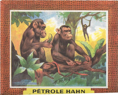 Buvard   Petrole Hahn -   - Singe - Animali
