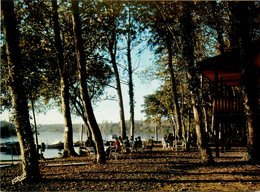 Port De Lanne * Le Centre De Loisir Du Bec De Gave * Vue Du Bar Terrasse Et Du Port De Plaisance De L'adour - Andere & Zonder Classificatie