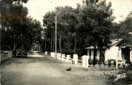 St Brévin L'océan * L'ermitage * Une Avenue Forestière * Automobile Voiture Ancienne Citroën Traction - Saint-Brevin-l'Océan