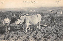 CPA 64 LE HERSAGE AU PAYS BASQUE / AGRICULTURE - Autres & Non Classés