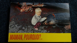 CPM MAMAN POURQUOI ? ENFANT DAUPHIN MORT ILES FEROE BALEINES ET DAUPHINS MASSACRES PETITION 1 ER MINISTRE DANNEMARK - Dolphins