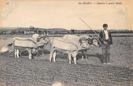 Delcampe - CPA 64 EN BEARN CHARRUE A 4 BOEUFS/ AGRICULTURE - Sonstige & Ohne Zuordnung