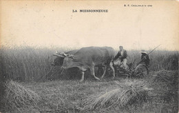 CPA 71 LA MOISSONNEUSE / AGRICULTURE - Andere & Zonder Classificatie