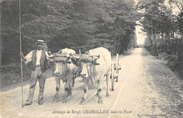 CPA 71 ATTELAGE DE BOEUFS CHAROLLAIS DANS LA FORET / AGRICULTURE - Andere & Zonder Classificatie