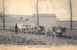 CPA 78 TRAPPES LA CULTURE LE LABOURG / AGRICULTURE - Andere & Zonder Classificatie