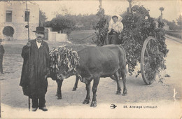 CPA 87 ATTELAGE LIMOUSIN - Autres & Non Classés