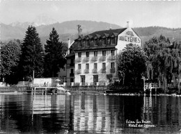 évian Les Bains * Hôtel Des Cygnes , Sur Le Lac - Evian-les-Bains