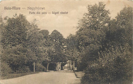 Postcard ROMANIA Baia Mare Parte Din Parc 1926 - Roumanie