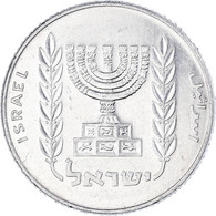 Monnaie, Israël, 5 Agorot, 1980 - Israel