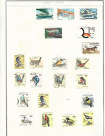 55954 ) Collection Australia   Postmark - Collections