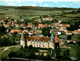 Chailly Sur Armançon * Vue Aérienne Sur Le Château Du Village - Andere & Zonder Classificatie