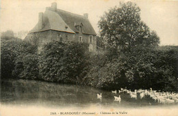 Blandouet * Le Château De La Vallée - Sonstige & Ohne Zuordnung