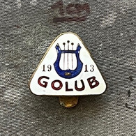 Badge Pin ZN011910 - Music Croatia Golub Bjelovar - Musique