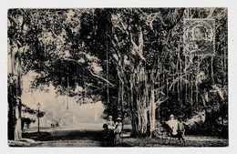 CPA. -COCHINCHINE - SAIGON - JARDIN BOTANIQUE - POUSSE-POUSSES SOUS LES LIANES  Circulée - Chine