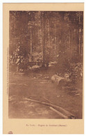 EN FORET : REGION DE GODEBERT (MARONI)    Carte Animée - Saint Laurent Du Maroni