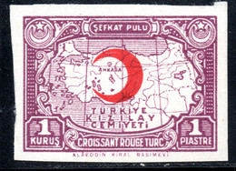 1014.TURKEY,1 K CHARITY RED CRESCENT,MAP ,IMPERF. MNH,UNRECORDED - Neufs