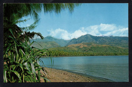 (RECTO / VERSO) TAHITI - BAIE DE MATAVAI - POINTE VENUS - Photo AFO GIAU - FORMAT CPA - Polynésie Française