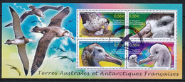 T.A.A.F. 2010 - VOGELBESCHERMING - PROTECTION DE L'ALBATROS D'AMSTERDAM - GEBRUIKT BLOK                           Hk103e - Used Stamps