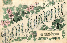 St Sulpice La Pointe * Souvenir Du Village 1907 ! - Saint Sulpice