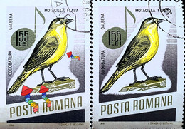 Errors Romania 1966 # MI 2506 Printed With  Songbirds With Displaced Bird - Plaatfouten En Curiosa