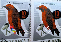 Errors Romania 1966 # MI 2501 Printed  With Displaced Bird , Songbirds - Varietà & Curiosità