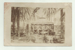 FESCULUM A COLAZIONE 1918 - AFRICA CARTOLINA FOTOGRAFICA - NV  FP - Unclassified