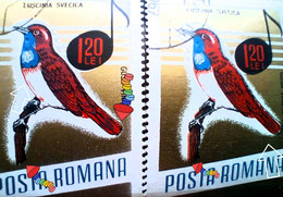 Errors Romania 1966 # MI 2505 Printed  With Displaced Bird , Songbirds - Abarten Und Kuriositäten