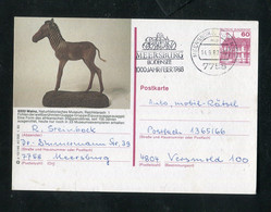 Bundesrepublik Deutschland / Bildpostkarte Bild "MAINZ, Naturhist.Museum", Stempel "Meersburg" (F320) - Postales Ilustrados - Usados