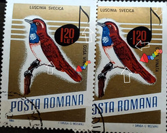 Errors Romania 1966 # MI 2505 Printed  With Displaced Bird , Songbirds - Plaatfouten En Curiosa