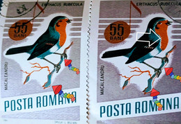 Errors Romania 1966 # MI 2504 Printed  With Displaced Bird , Songbirds - Plaatfouten En Curiosa