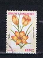 Türkei, Turkey 2000: Michel 3244 Used, Gestempelt - Used Stamps