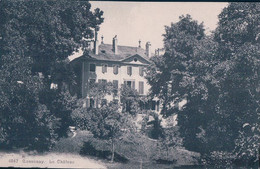 Cossonay VD, Le Château (4047) - Cossonay