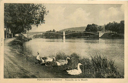 Pont St Vincent * Passerelle Sur La Moselle - Other & Unclassified