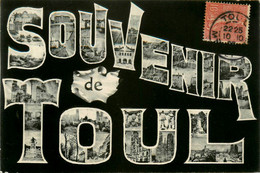 Toul * 1905 * Souvenir De La Ville ! - Toul