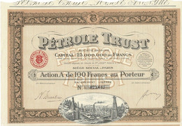 - Titre De 1924 - Pétrole Trust - Société Anonyme - N° 073647 - Petróleo