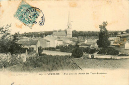 Vézelise * 1906 * Vue Prise Du Chemin Des Trois Fontaines - Vezelise