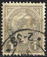 Luxembourg 1895 - Mi 67 - YT 69 ( Grand Duke Adolf ) Perf. 12 ½ - 1891 Adolphe Frontansicht